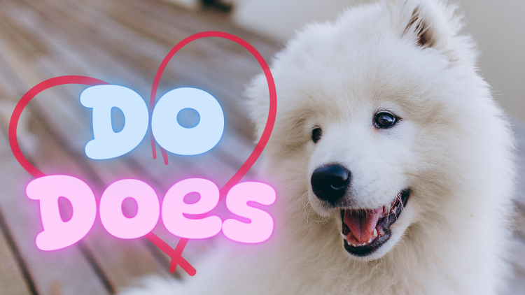 Do-Does