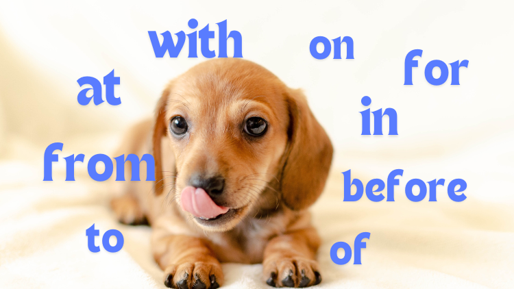preposition-eigo