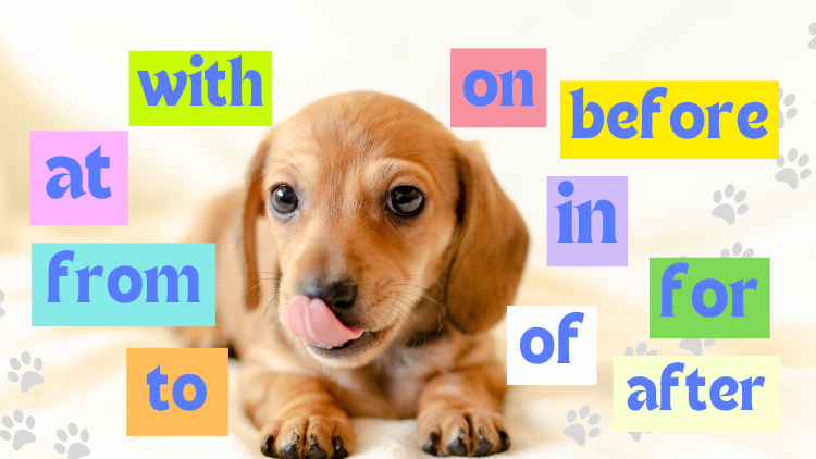 preposition-eigo