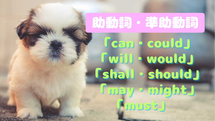auxiliary-verb