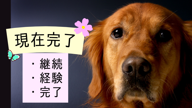 present-perfect