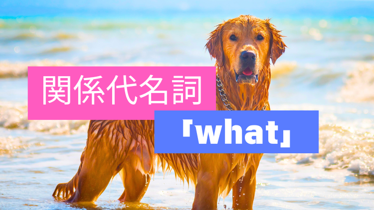 Relative-pronouns-what